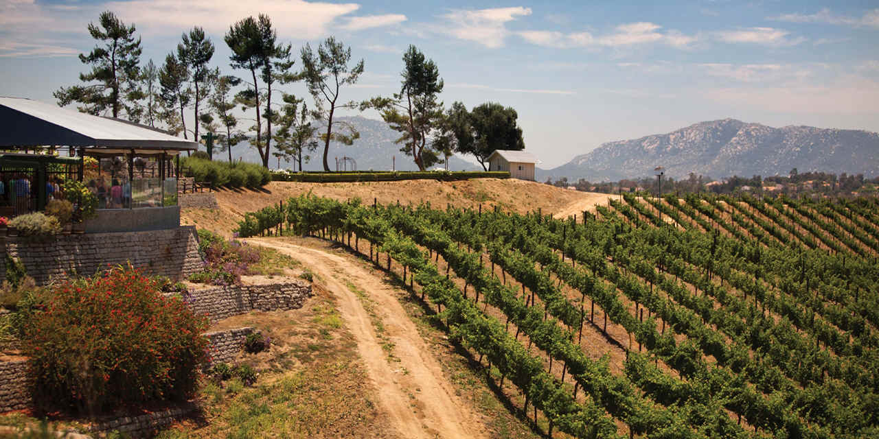 Région viticole de la vallée de Temecula VCW_D_IE_T2-IE_TemeculaValley_KG_1280x642