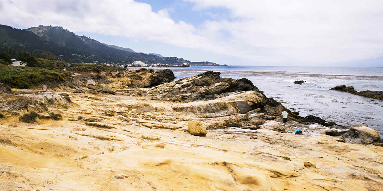 Réserve naturelle d'Etat de Point Lobos 