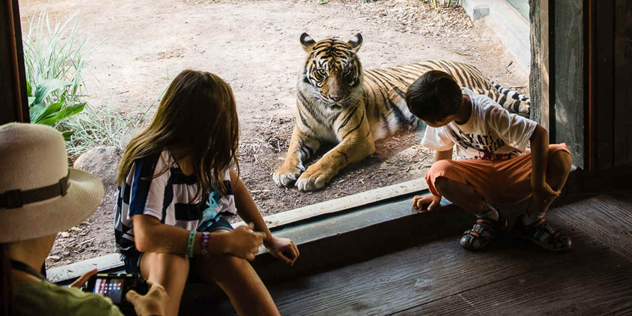 Esperienze speciali allo zoo di San Diego