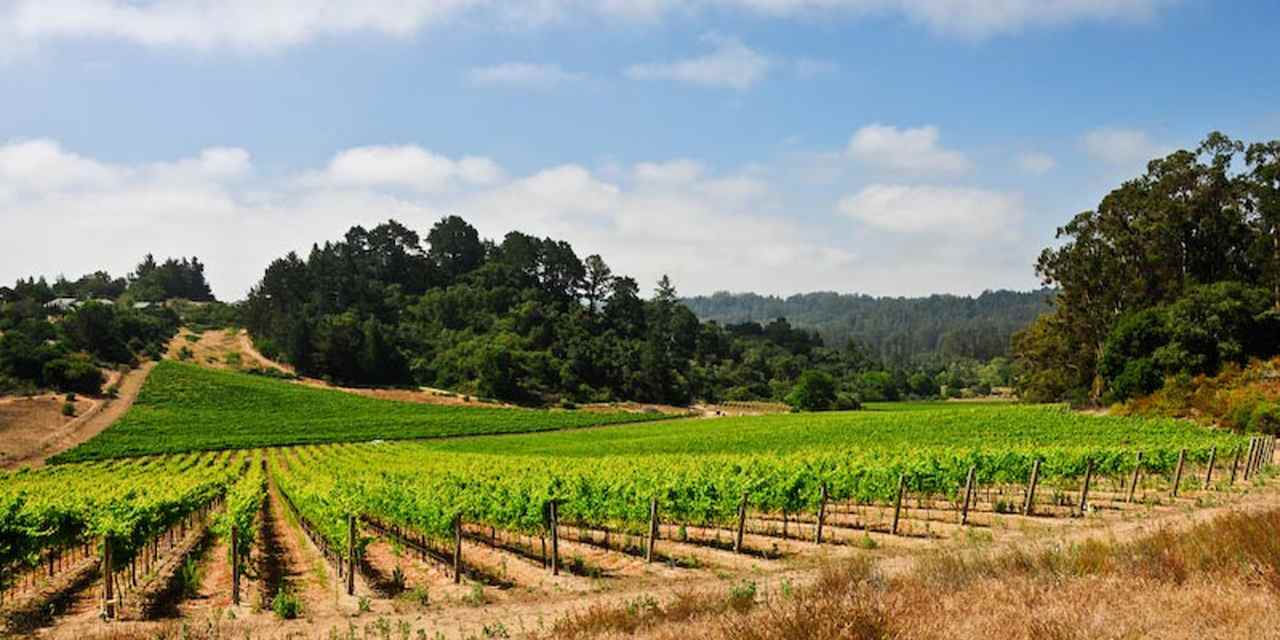 La regione dei vini a Santa Cruz 