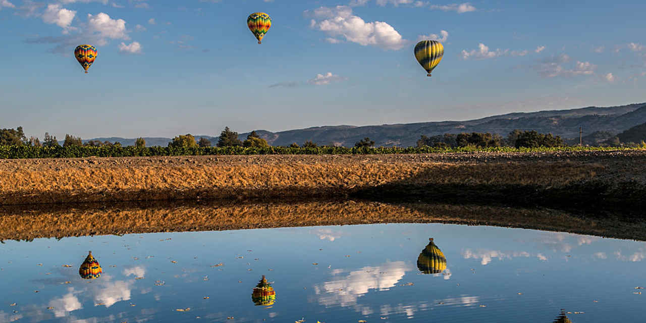 Special Tours in Napa Valley