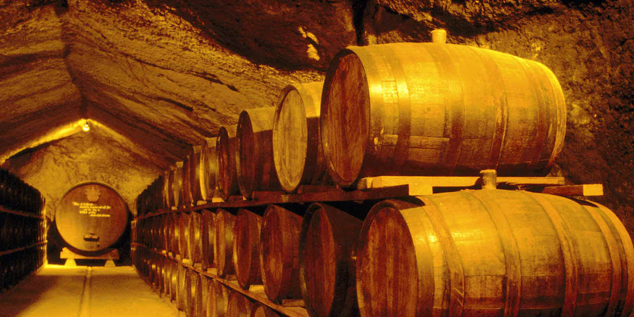 와인 동굴 (Wine Caves)