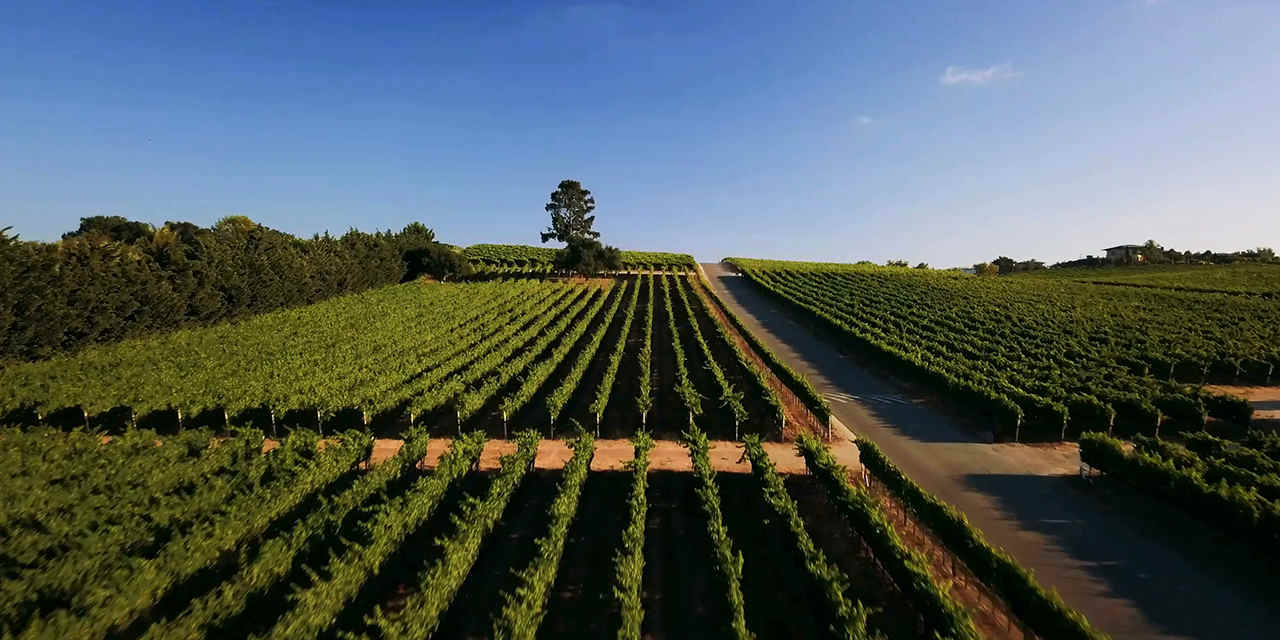 5 Amazing Things to do in Santa Maria Valley