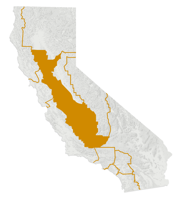 California's Central Valley