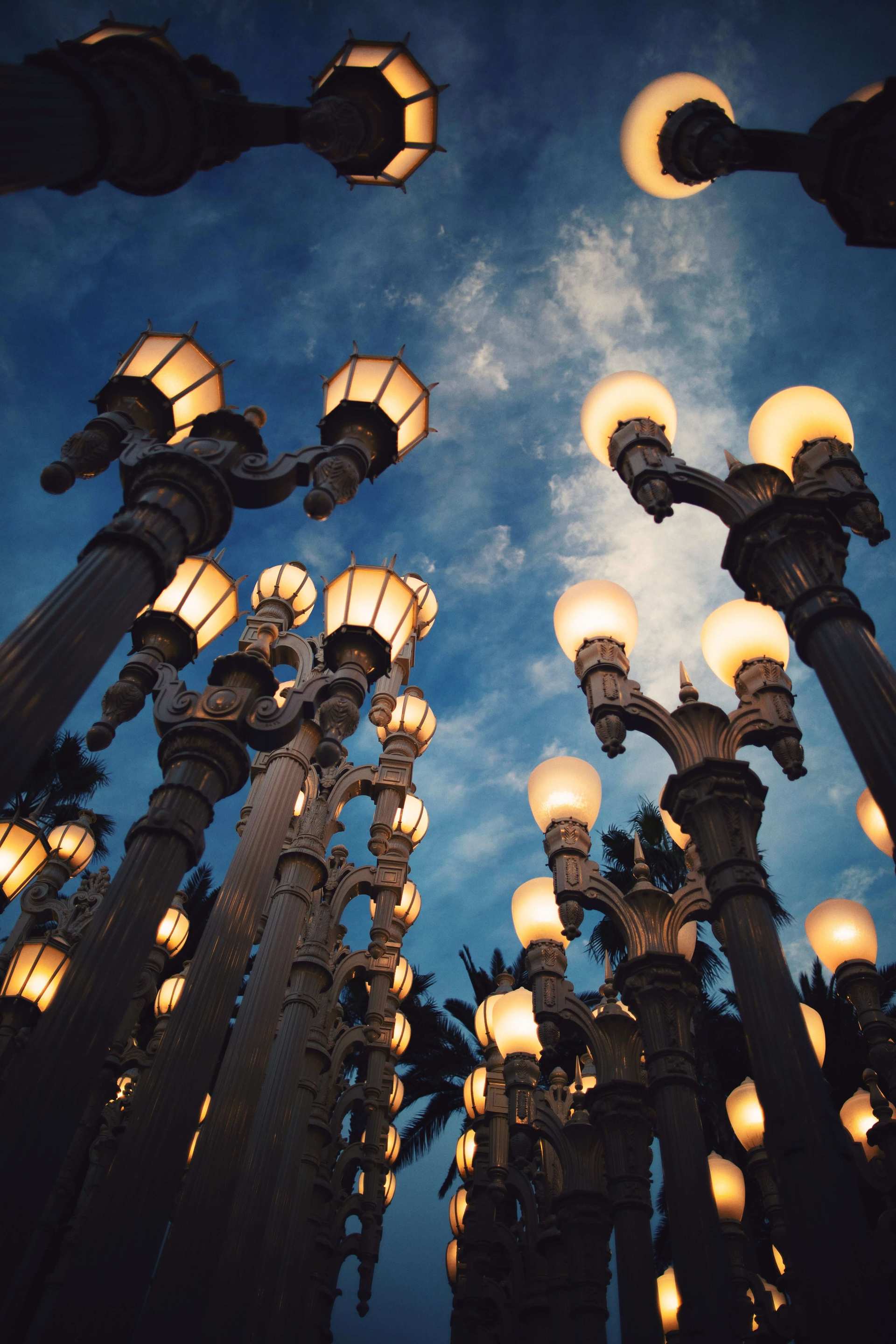 Lacma