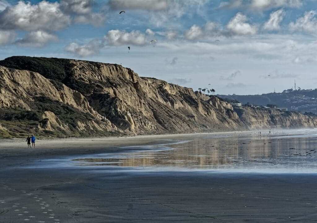 Torrey Pines